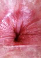 Big Eyes from ATK Natural & Hairy