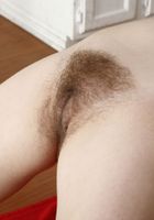 Bratty Wolfie from ATK Natural & Hairy