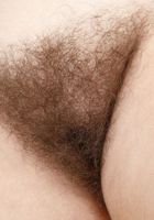 Bratty Wolfie from ATK Natural & Hairy