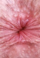 Daydream Daisy from ATK Galleria