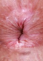 Dez Hansen from ATK Galleria