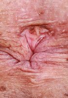 Dolly Paige from ATK Galleria