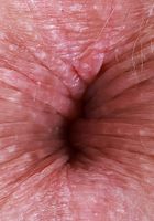 Harlow West from ATK Galleria