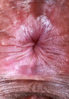 Isabella Jules from ATK Exotics