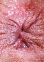 Kate Legend from ATK Exotics