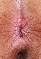 Kate Legend from ATK Exotics