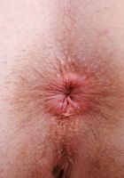 Nicole Nichols Lingerie Strip and Spreads, Nicole Nichols (nic100) ATK Galleria: Nicole Nichols (Nicole Nichols Lingerie Strip and Spreads)