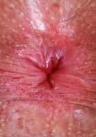 Pearl Sage strips and pees a bit from ATK Natural & Hairy Pearl Sage from ATK Natural & Hairy