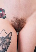 Rosalyn Sphinx from ATK Natural & Hairy