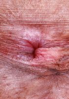 Salee Lee is your exotic party girl from ATK Petites Salee Lee from ATK Petites