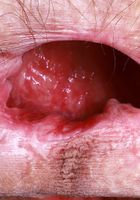 Sia Wood in black leather and knee-high boots, Sia Wood (sia004) ATK Natural & Hairy: Sia Wood (Sia Wood in black leather and knee-high boots)