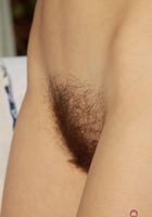 Sunshine from ATK Natural & Hairy