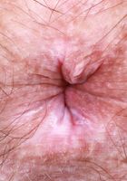 Violet Viper from ATK Natural & Hairy